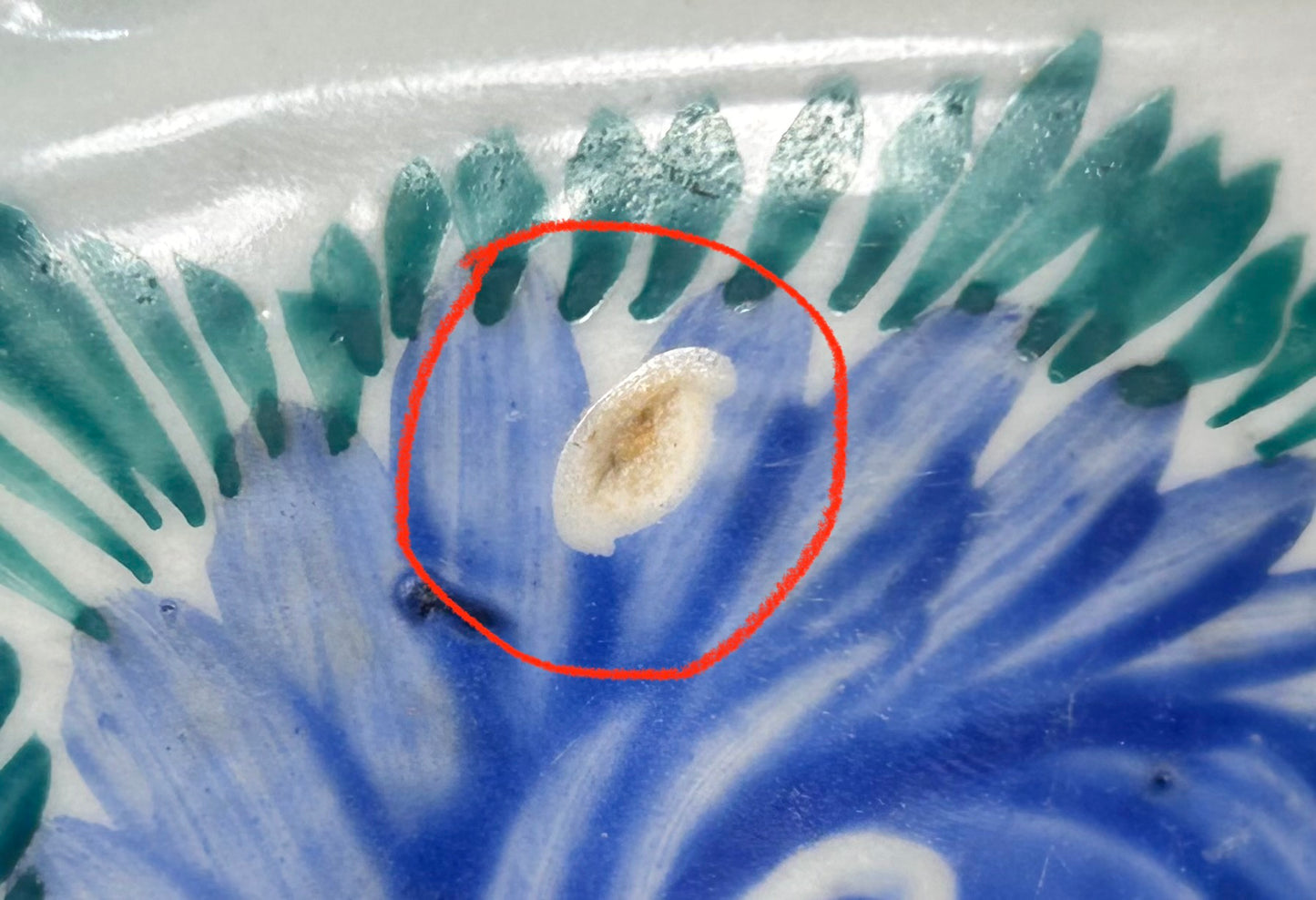 Circa 1900 Chinese Export Porcelain Hand-Painted Floral/Foliate Motifs Flared Rim Footed Bowl (Qing Dynasty)