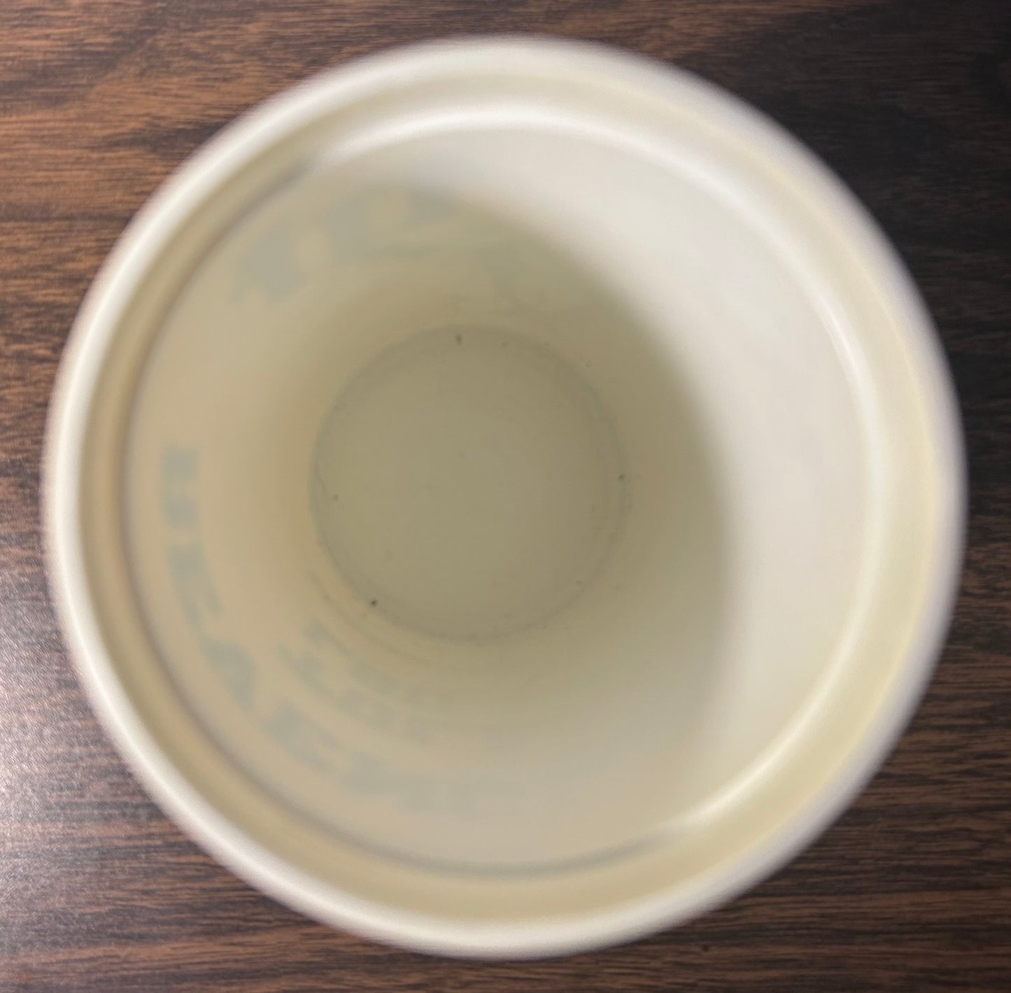 Vintage 1982 Tulane Green Wave vs. LSU Tigers Football Revenge Bowl I Resurrection City Bud Man Plastic Cup
