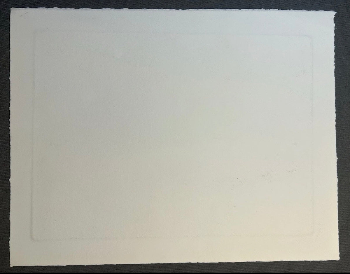 Sean Gardner - “Stage 3” Signed Intaglio Etching (Louisiana)