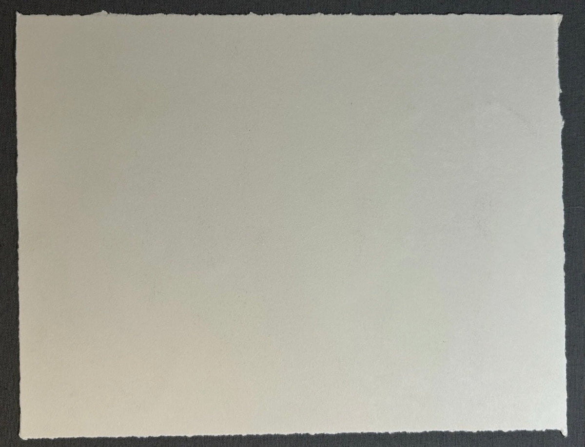 Sean Gardner - Untitled Surrealist Signed Limited Edition Intaglio Etching (#4/6) (Louisiana)