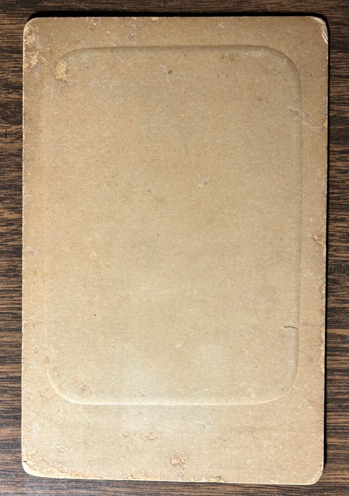 Late 19th Century American Victorian Young Boy Portrait Sepia Cabinet Card Photograph by F.J. Barnes