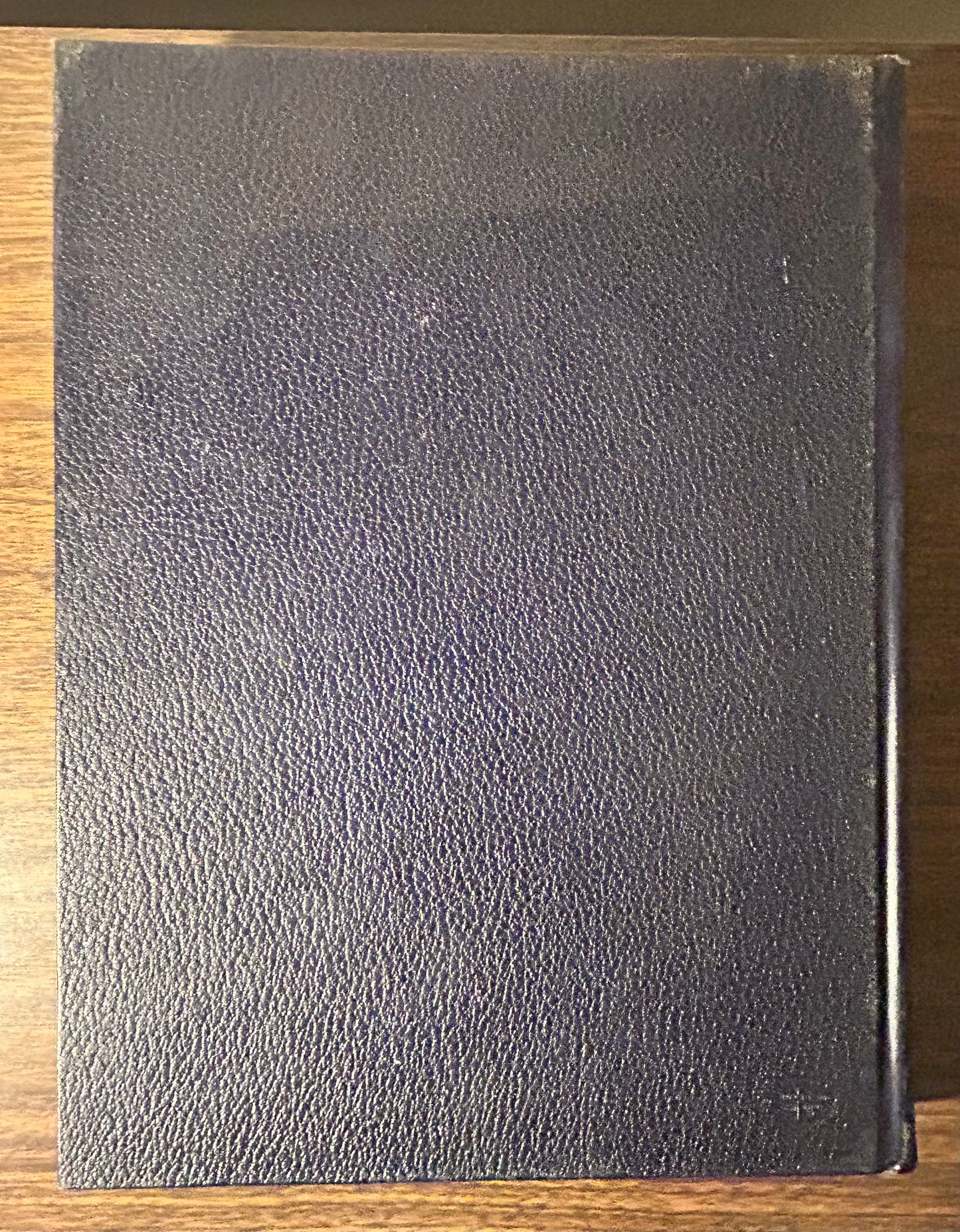Vintage 1967 LSU Tigers Gumbo Yearbook (Louisiana State University)