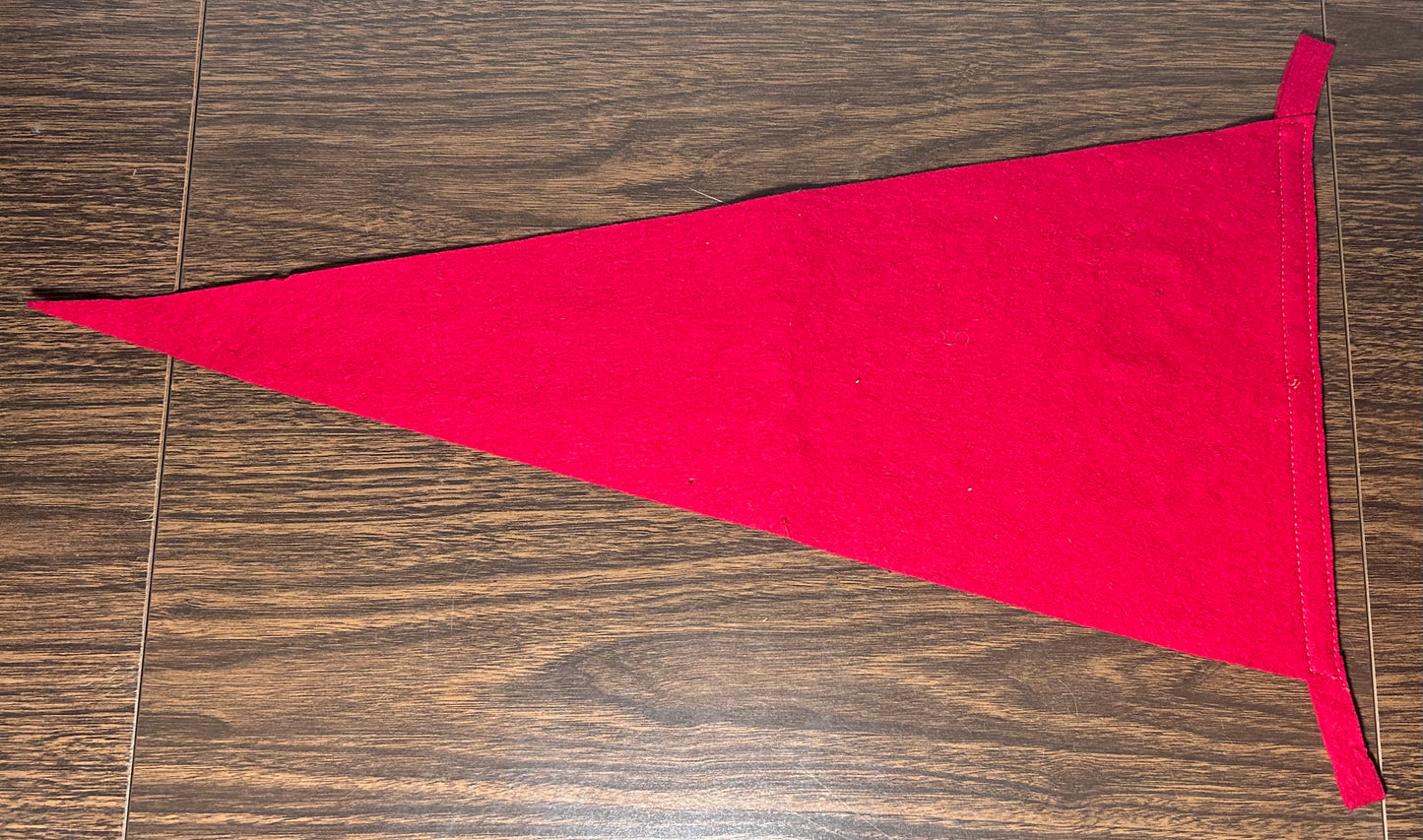 1940’s World War II Era New Zealand Anti-German Propaganda Hitler Being Kicked in the Butt Felt Pennant