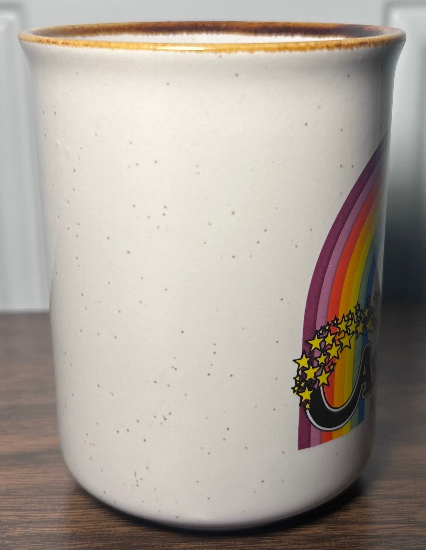 Vintage 1970’s Astroworld Houston Rainbow Motif Speckled Stoneware Souvenir Coffee Mug
