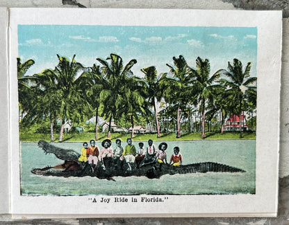 Early 20th Century Century American Black Americana E.C Kropp Co. Beautiful Florida Foldout Postcard