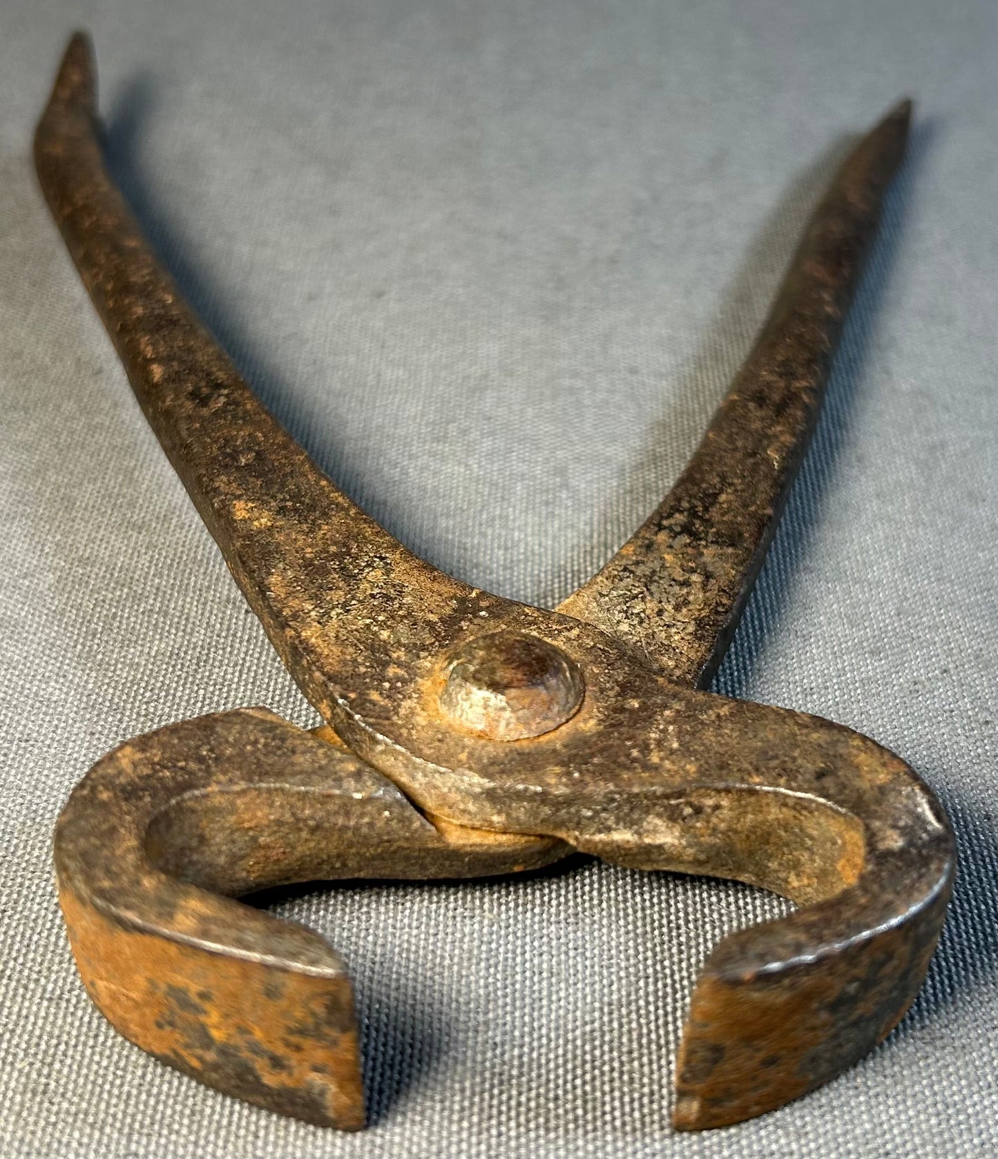 Late 19th Century American Primitive Hand-Forged Wrought Iron Farrier Hoof Nippers Blacksmithing Tool