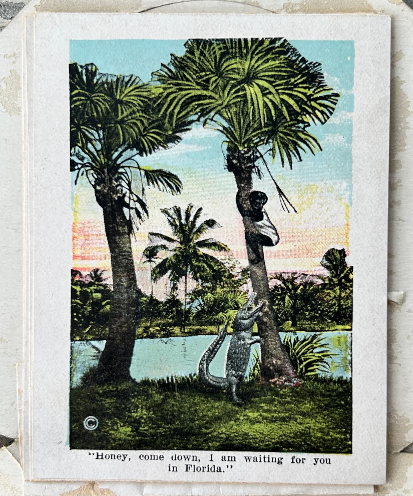 Early 20th Century Century American Black Americana E.C Kropp Co. Beautiful Florida Foldout Postcard