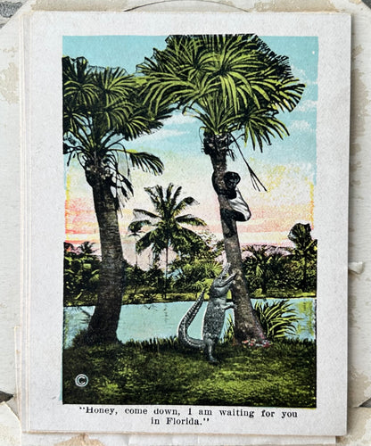 Early 20th Century Century American Black Americana E.C Kropp Co. Beautiful Florida Foldout Postcard