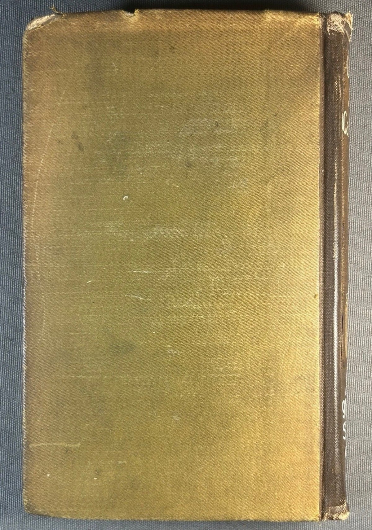 1904 “Gardens of the Caribbees: Sketches of a Cruise to the West Indies and the Spanish Main” by Ida M. H. Starr Hardcover Book