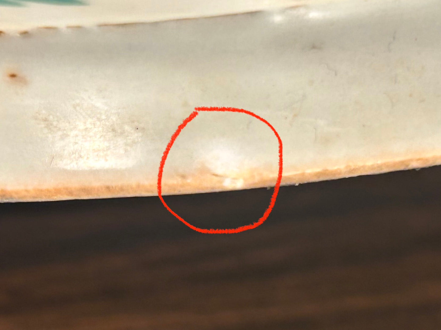 Circa 1900 Chinese Export Porcelain Hand-Painted Floral/Foliate Motifs Flared Rim Footed Bowl (Qing Dynasty)