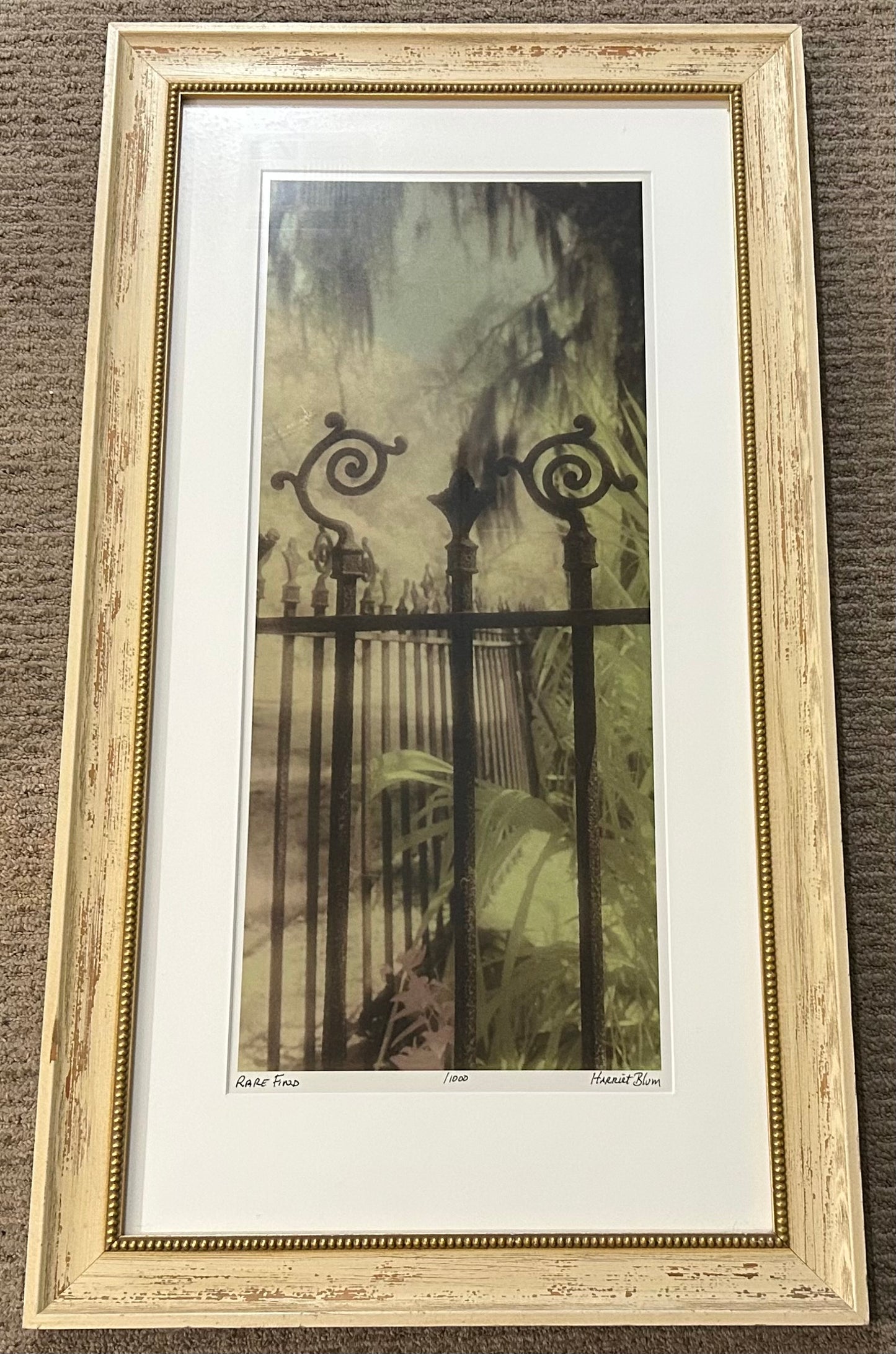 Harriet Blum - “Rare Find” Framed Signed Limited Edition Photography Art Print (Edition of 1,000) (21st Century) (New Orleans, Louisiana)
