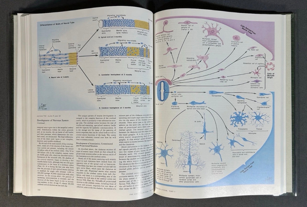 Vintage 1983 “The CIBA Collection of Medical Illustrations” Volume 1 - Nervous System/Part 1 - Anatomy and Physiology Hardcover Book by Frank H. Netter, M.D.
