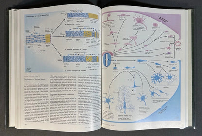 Vintage 1983 “The CIBA Collection of Medical Illustrations” Volume 1 - Nervous System/Part 1 - Anatomy and Physiology Hardcover Book by Frank H. Netter, M.D.