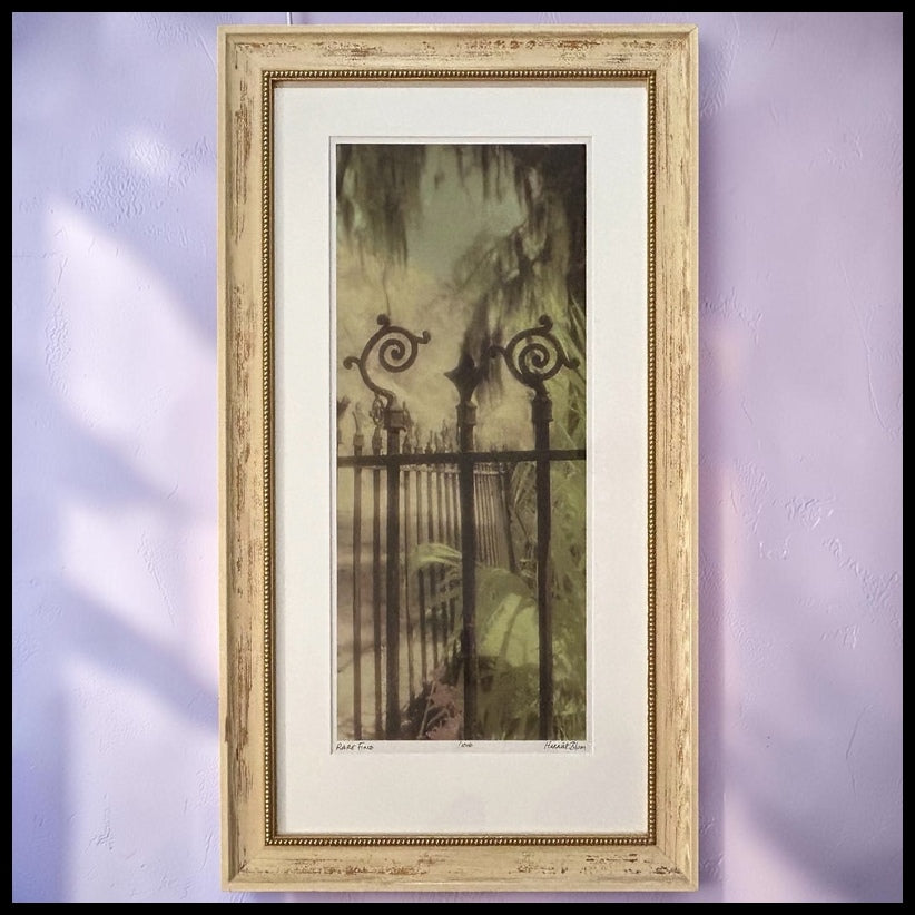 Harriet Blum - “Rare Find” Framed Signed Limited Edition Photography Art Print (Edition of 1,000) (21st Century) (New Orleans, Louisiana)