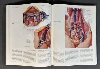 Vintage 1977 “The CIBA Collection of Medical Illustrations” Volume 2 - Reproductive System Hardcover Book by Frank H. Netter, M.D.