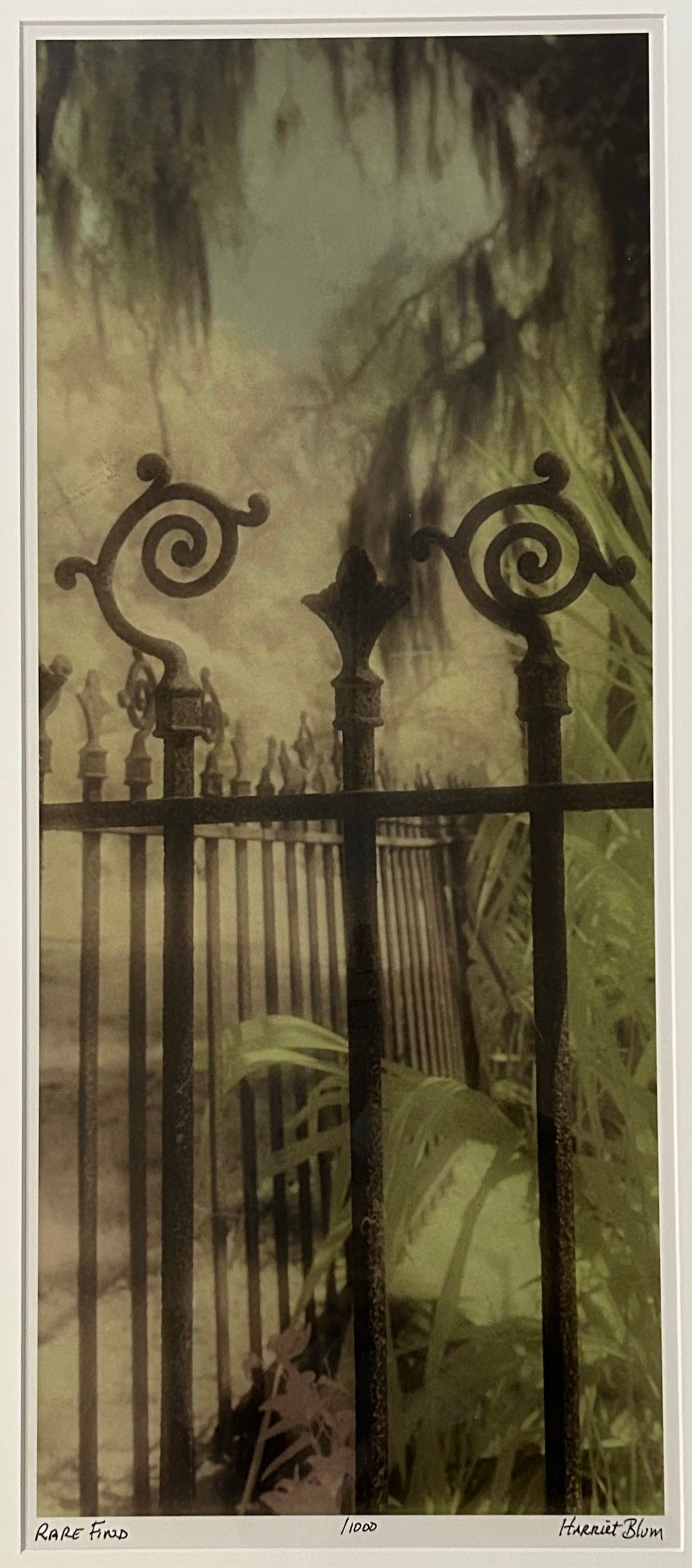 Harriet Blum - “Rare Find” Framed Signed Limited Edition Photography Art Print (Edition of 1,000) (21st Century) (New Orleans, Louisiana)