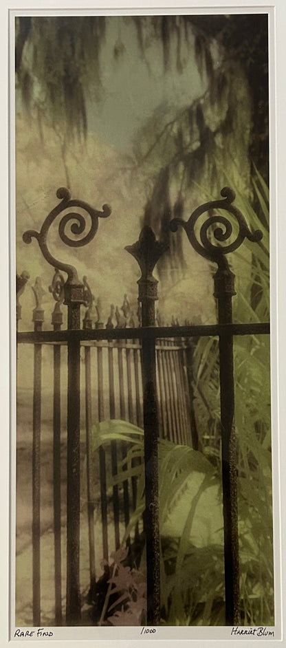 Harriet Blum - “Rare Find” Framed Signed Limited Edition Photography Art Print (Edition of 1,000) (21st Century) (New Orleans, Louisiana)