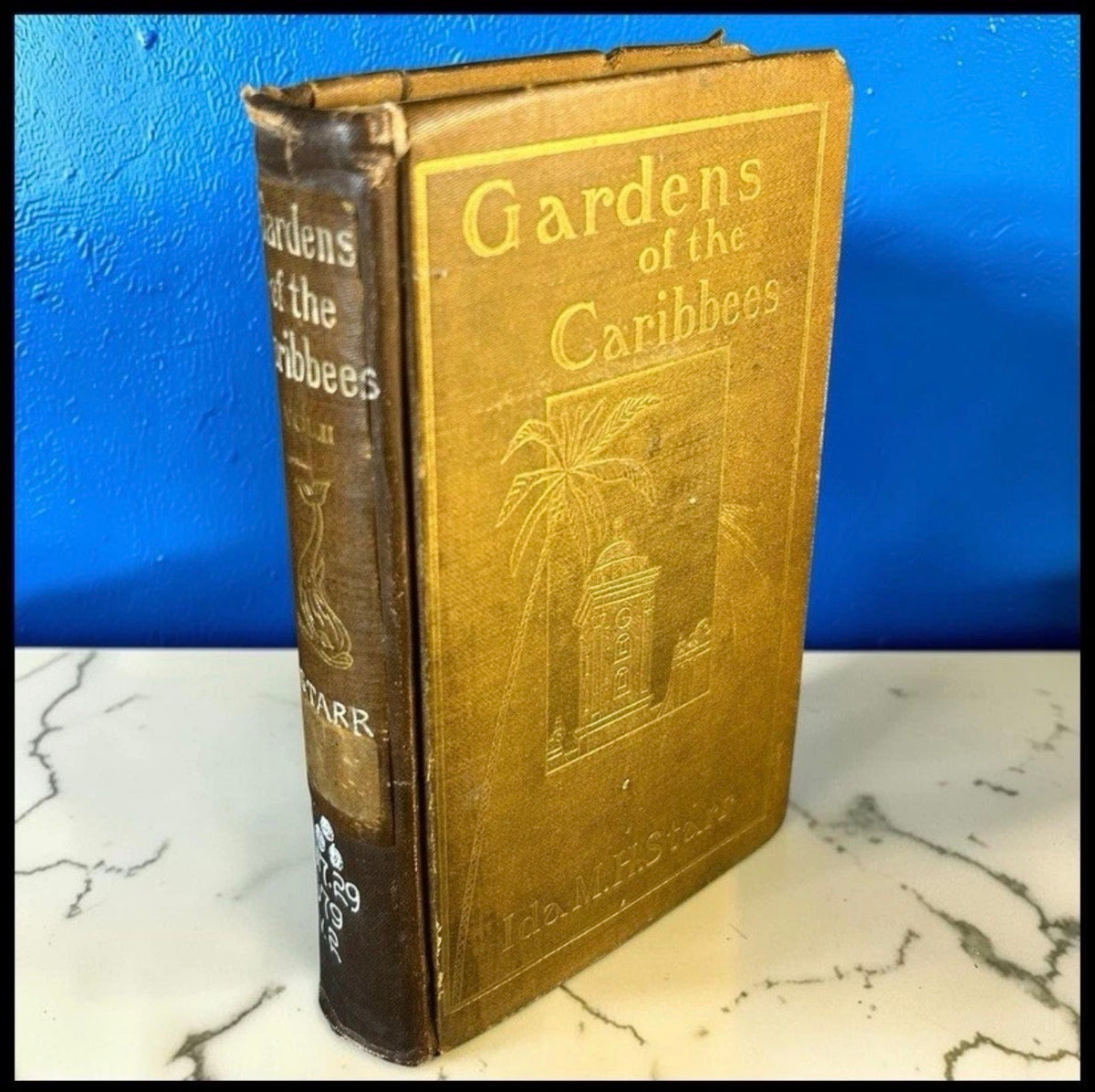 1904 “Gardens of the Caribbees: Sketches of a Cruise to the West Indies and the Spanish Main” by Ida M. H. Starr Hardcover Book