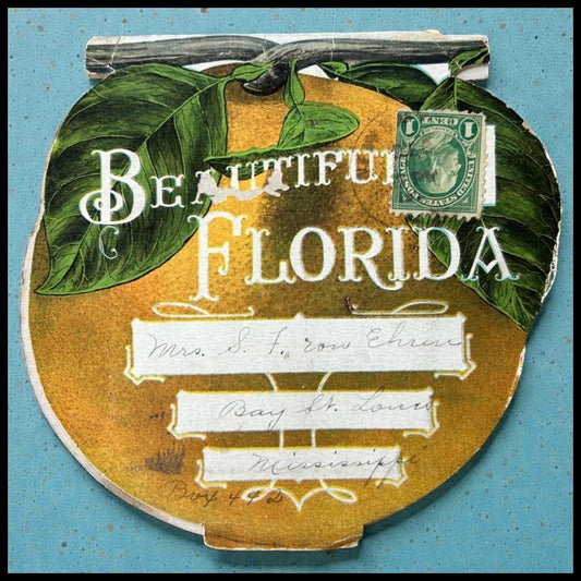 Early 20th Century Century American Black Americana E.C Kropp Co. Beautiful Florida Foldout Postcard