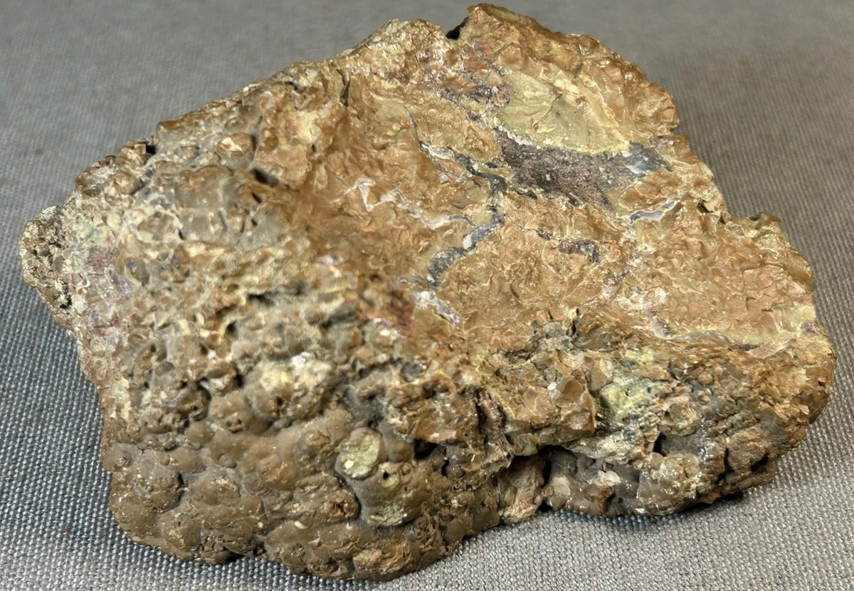 Cold Mountain Thunderegg Chalcedony/Jasper/Agate Stone Volcanic Nodule Specimen