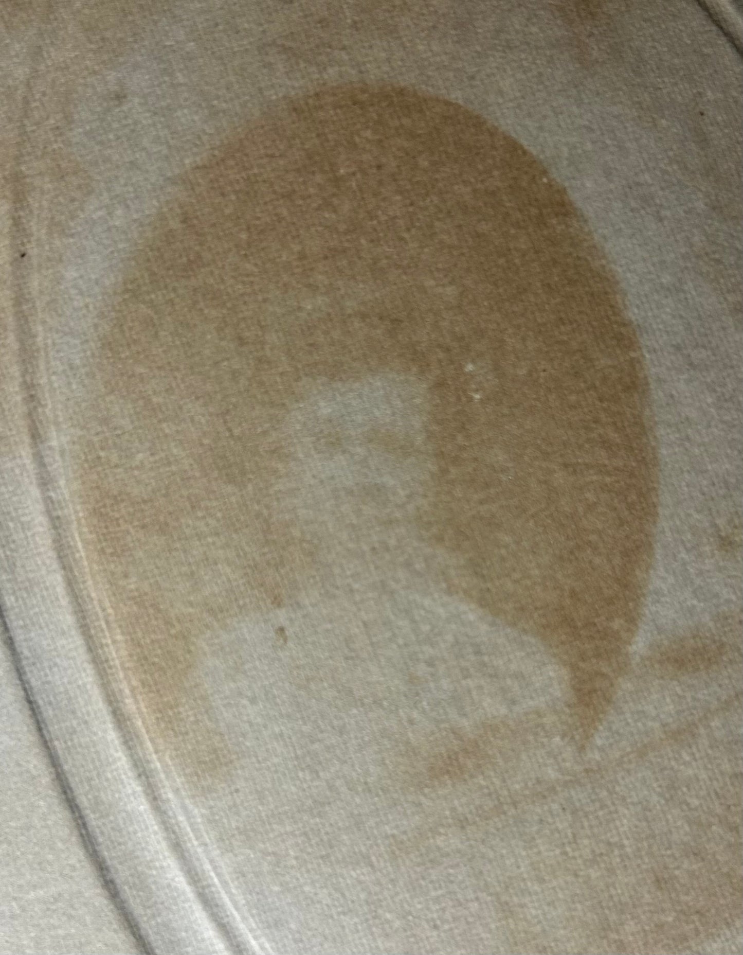 Late 19th Century American Victorian Woman Holding Baby Sepia Portrait Gelatin Silver Print Cabinet Card Photograph