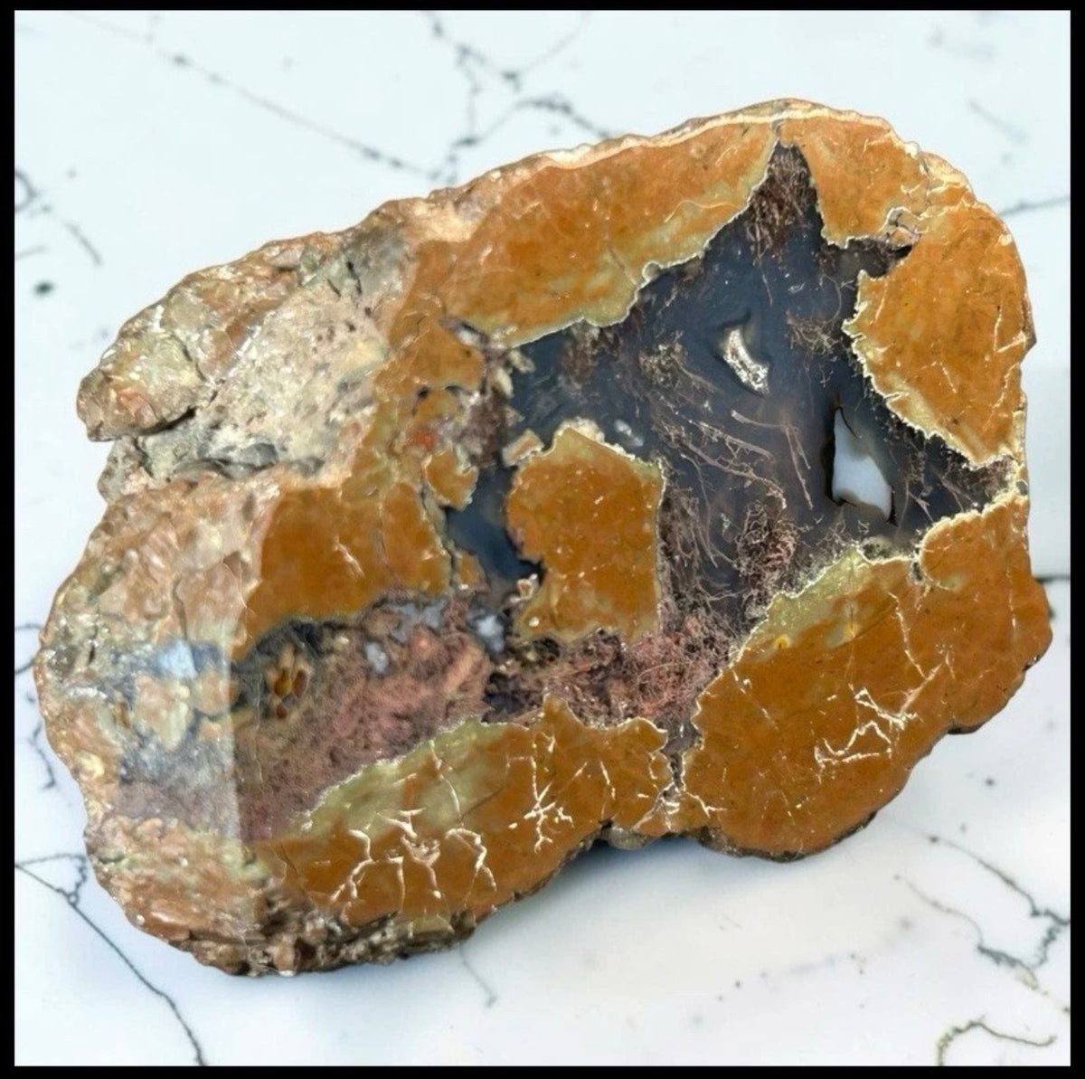 Cold Mountain Thunderegg Chalcedony/Jasper/Agate Stone Volcanic Nodule Specimen