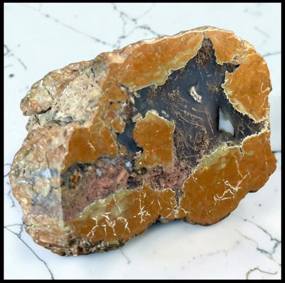Cold Mountain Thunderegg Chalcedony/Jasper/Agate Stone Volcanic Nodule Specimen