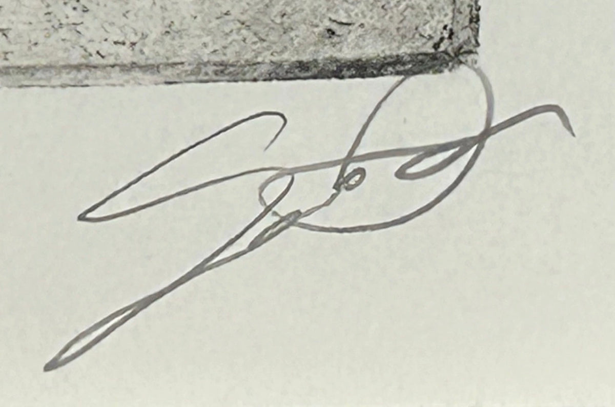 Sean Gardner - “Stage 3” Signed Intaglio Etching (Louisiana)