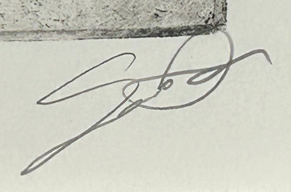 Sean Gardner - “Stage 3” Signed Intaglio Etching (Louisiana)
