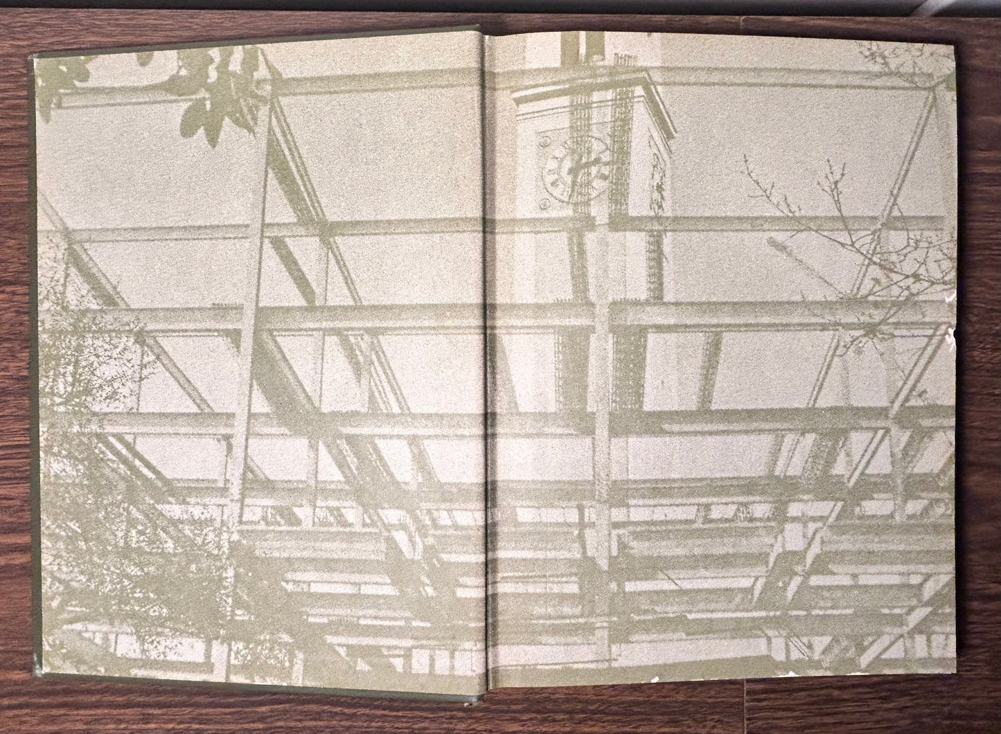 Vintage 1968 LSU Tigers Gumbo Yearbook (Louisiana State University)