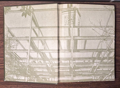 Vintage 1968 LSU Tigers Gumbo Yearbook (Louisiana State University)