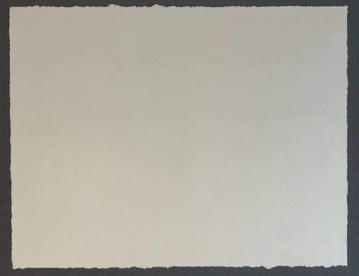 Sean Gardner - Untitled Surrealist Signed Limited Edition Intaglio Etching (#5/6) (Louisiana)