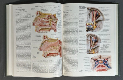 Vintage 1983 “The CIBA Collection of Medical Illustrations” Volume 1 - Nervous System/Part 1 - Anatomy and Physiology Hardcover Book by Frank H. Netter, M.D.