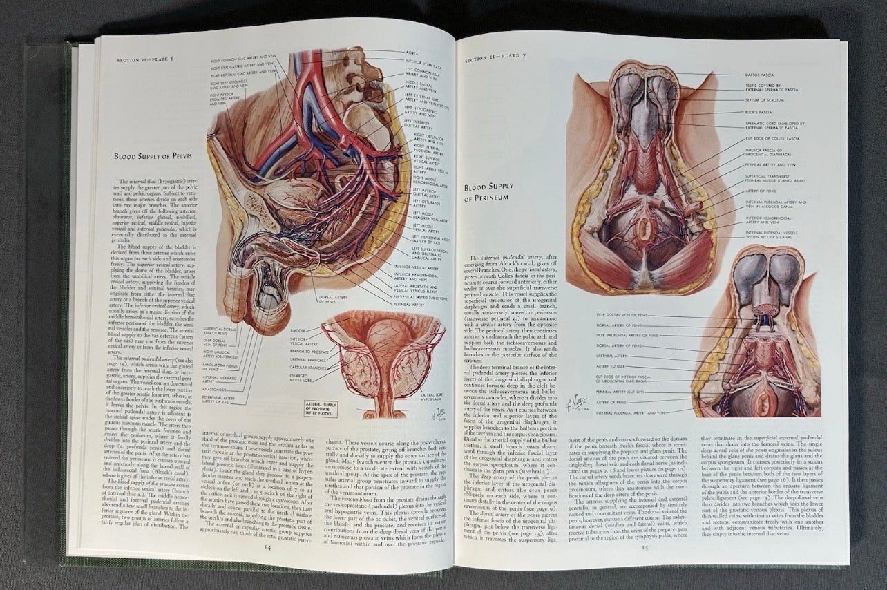 Vintage 1977 “The CIBA Collection of Medical Illustrations” Volume 2 - Reproductive System Hardcover Book by Frank H. Netter, M.D.