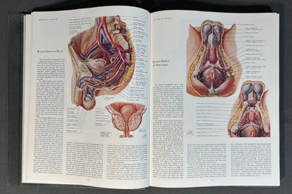 Vintage 1977 “The CIBA Collection of Medical Illustrations” Volume 2 - Reproductive System Hardcover Book by Frank H. Netter, M.D.