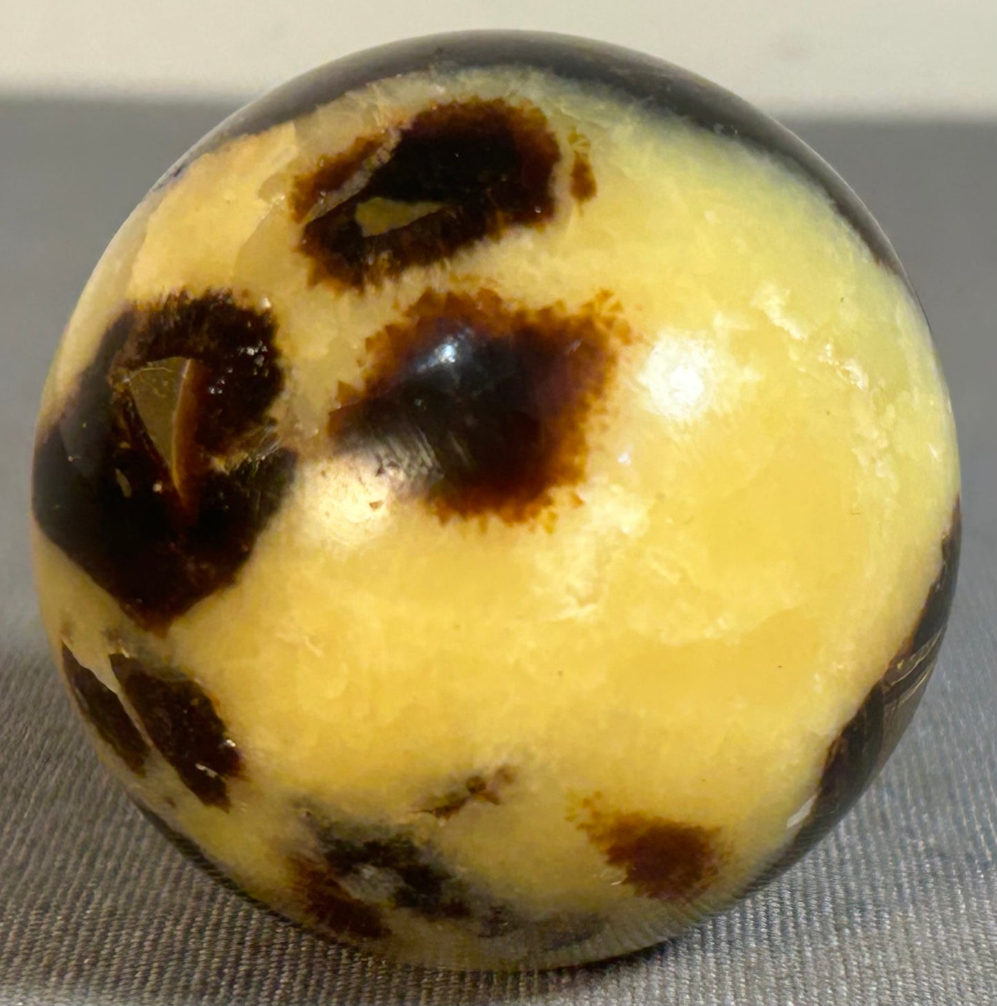 Polished Septarian Dragon Stone Nodule Sphere