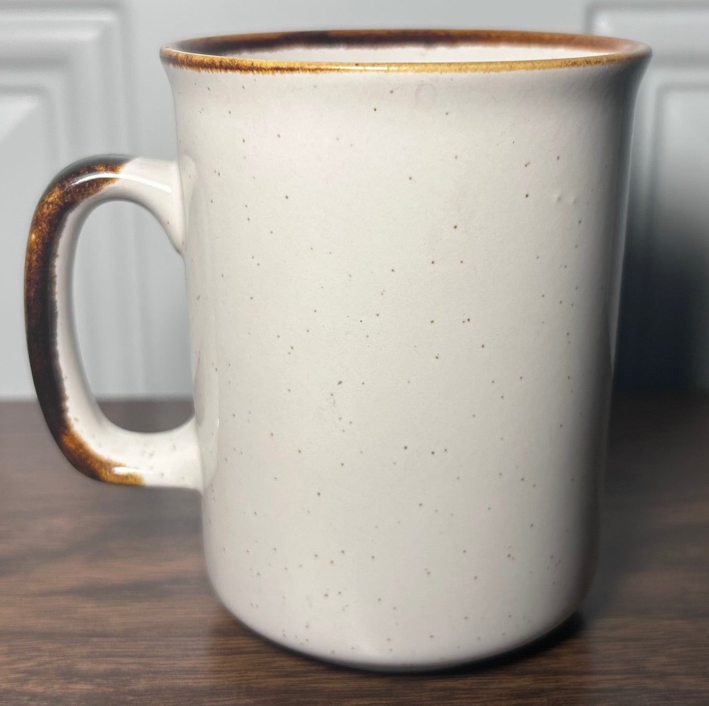 Vintage 1970’s Astroworld Houston Rainbow Motif Speckled Stoneware Souvenir Coffee Mug