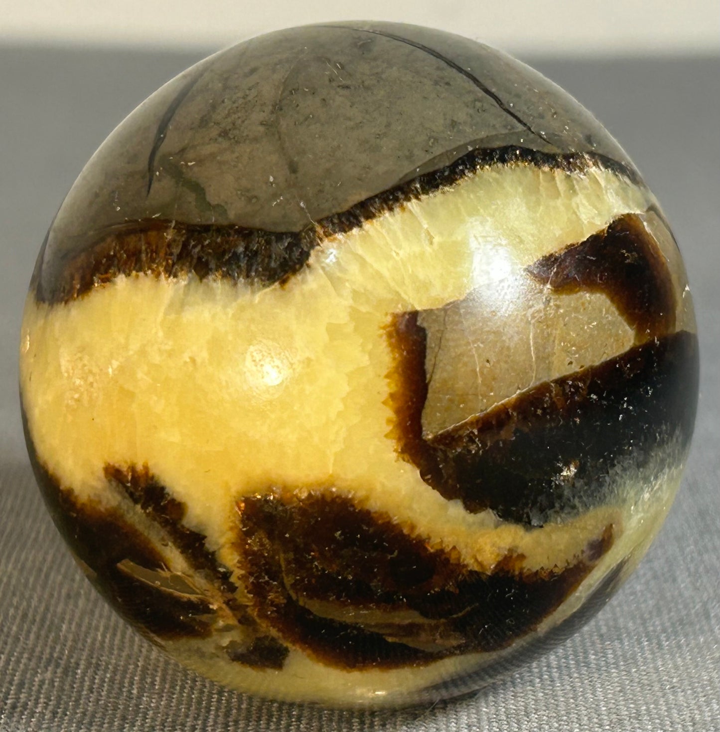 Polished Septarian Dragon Stone Nodule Sphere