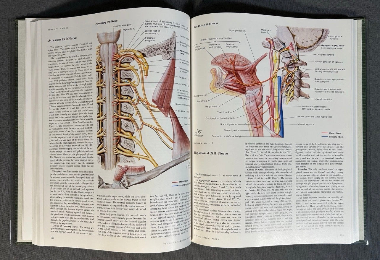 Vintage 1983 “The CIBA Collection of Medical Illustrations” Volume 1 - Nervous System/Part 1 - Anatomy and Physiology Hardcover Book by Frank H. Netter, M.D.