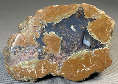 Cold Mountain Thunderegg Chalcedony/Jasper/Agate Stone Volcanic Nodule Specimen