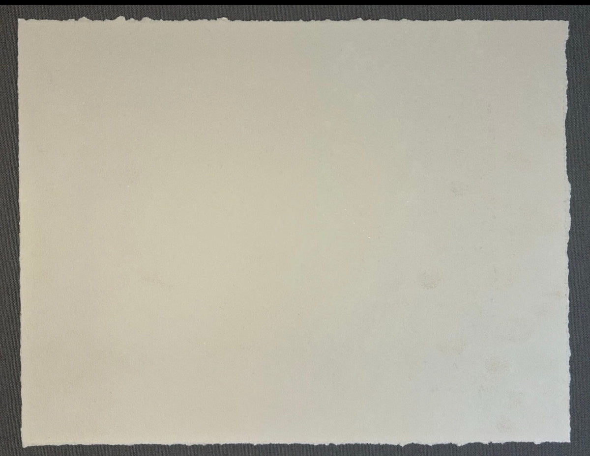 Sean Gardner - Untitled Surrealist Signed Limited Edition Intaglio Etching (#6/6) (Louisiana)