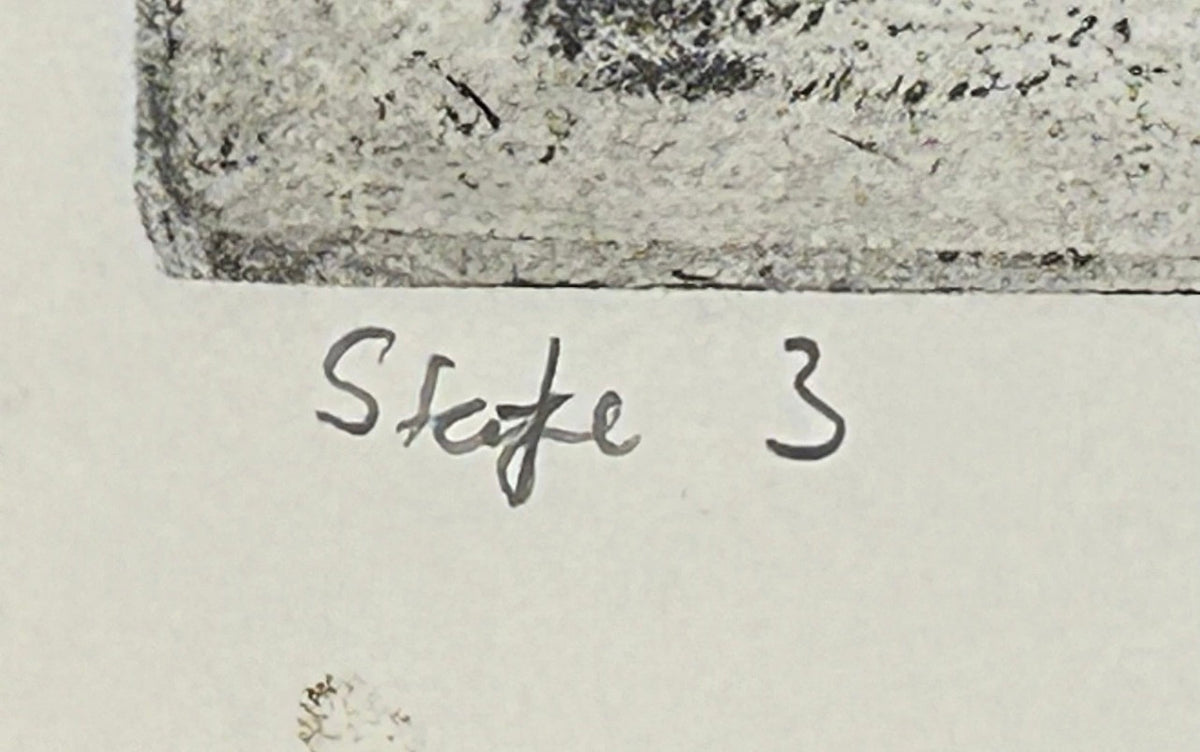 Sean Gardner - “Stage 3” Signed Intaglio Etching (Louisiana)
