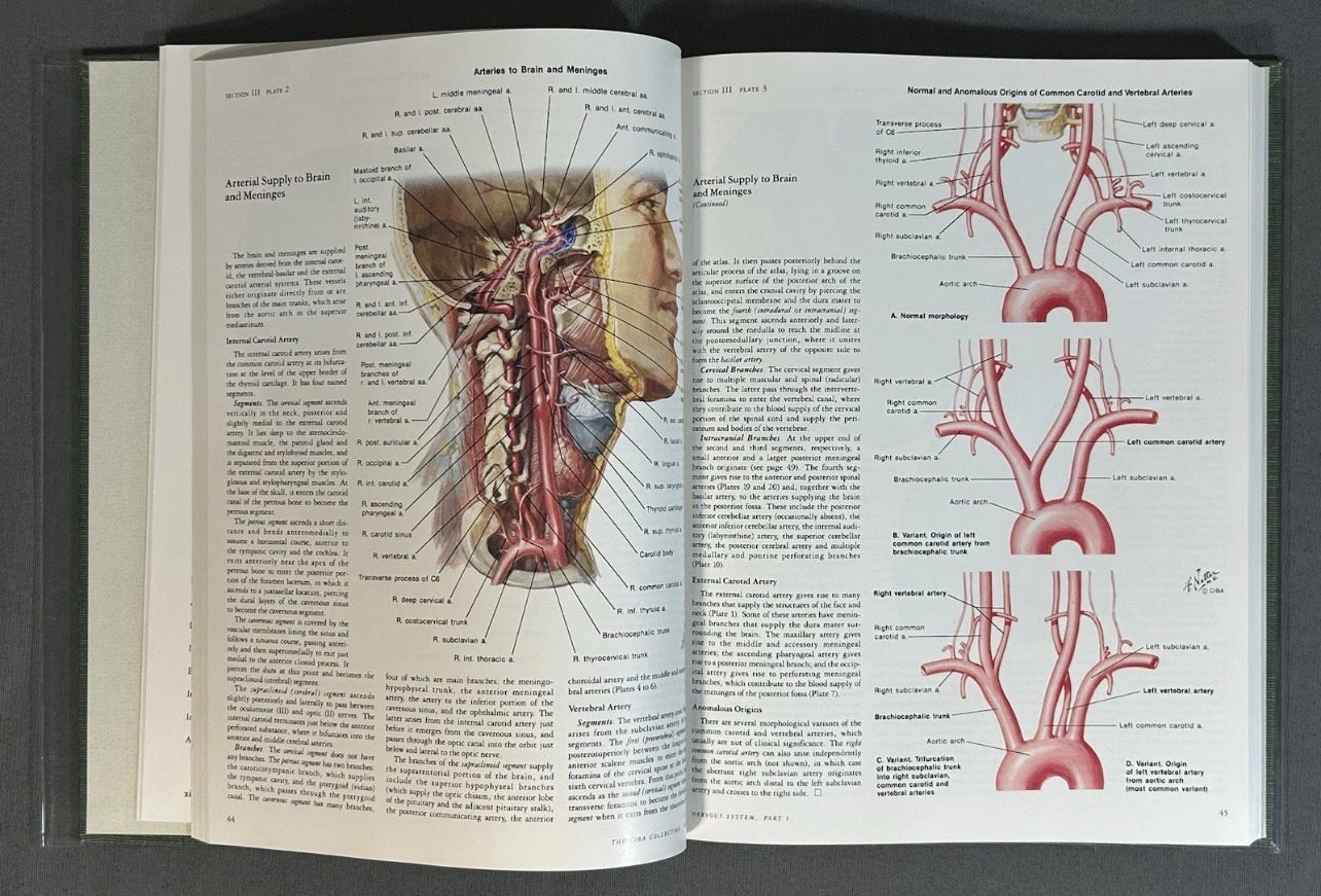 Vintage 1983 “The CIBA Collection of Medical Illustrations” Volume 1 - Nervous System/Part 1 - Anatomy and Physiology Hardcover Book by Frank H. Netter, M.D.