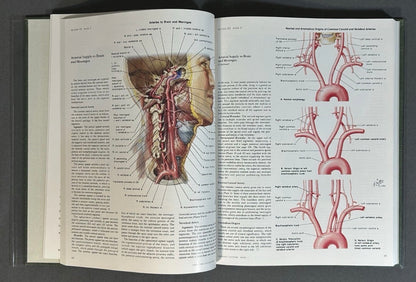 Vintage 1983 “The CIBA Collection of Medical Illustrations” Volume 1 - Nervous System/Part 1 - Anatomy and Physiology Hardcover Book by Frank H. Netter, M.D.