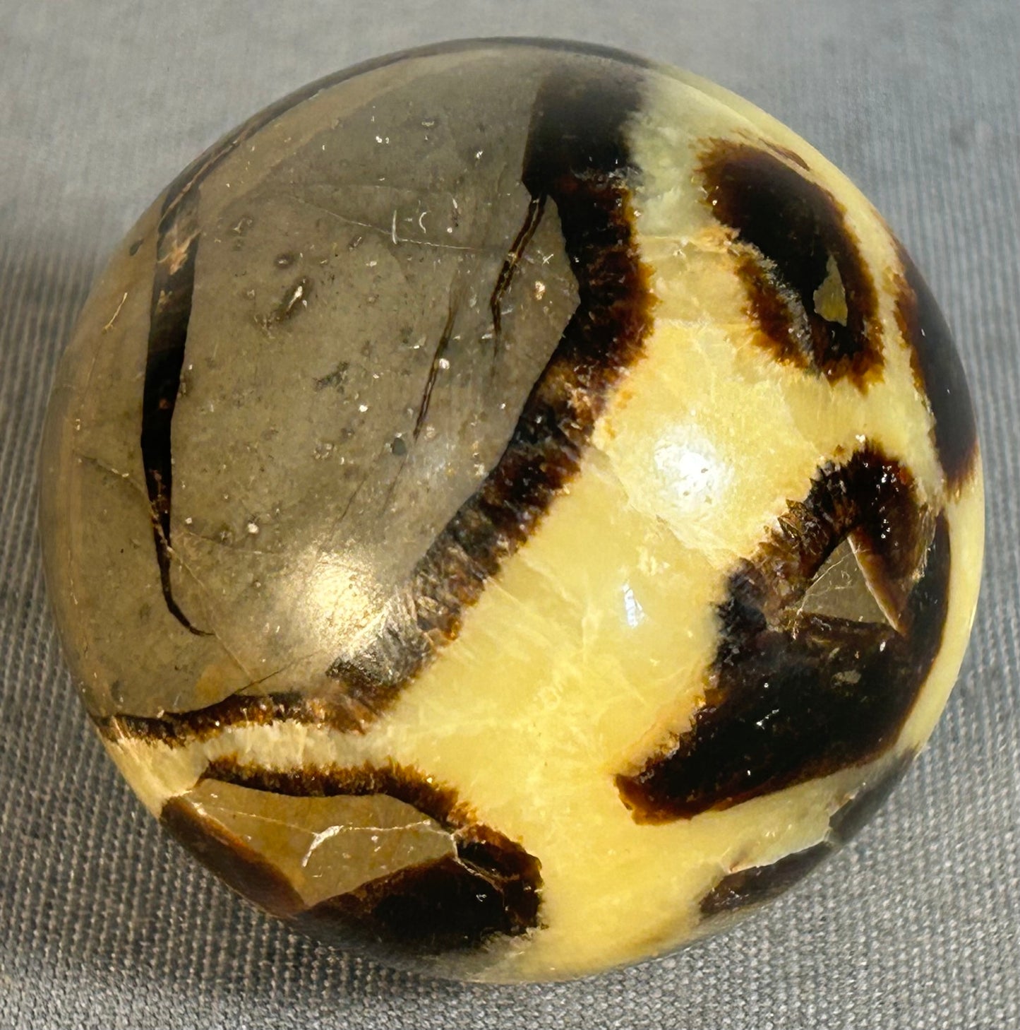 Polished Septarian Dragon Stone Nodule Sphere
