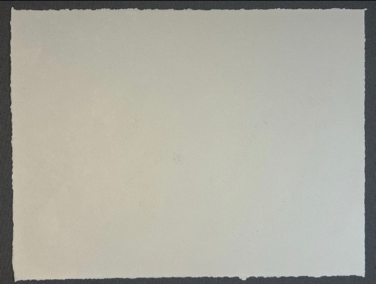 Sean Gardner - Untitled Surrealist Signed Limited Edition Intaglio Etching (#1/6) (Louisiana)