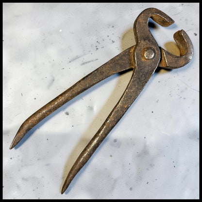 Late 19th Century American Primitive Hand-Forged Wrought Iron Farrier Hoof Nippers Blacksmithing Tool