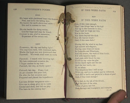 1909 “Poems” by Robert Louis Stevenson Leather-bound Book with Pressed Wildflower Specimens