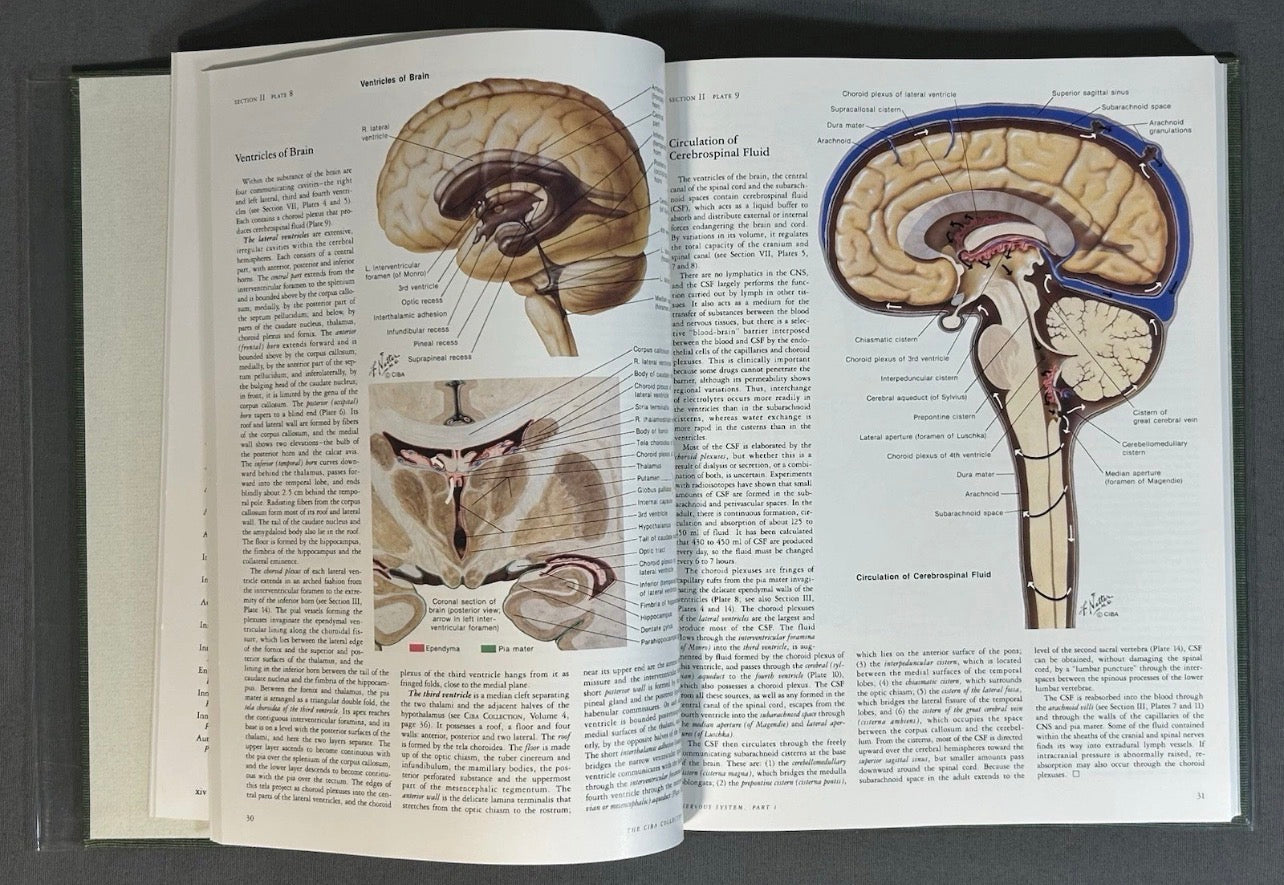 Vintage 1983 “The CIBA Collection of Medical Illustrations” Volume 1 - Nervous System/Part 1 - Anatomy and Physiology Hardcover Book by Frank H. Netter, M.D.