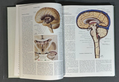 Vintage 1983 “The CIBA Collection of Medical Illustrations” Volume 1 - Nervous System/Part 1 - Anatomy and Physiology Hardcover Book by Frank H. Netter, M.D.